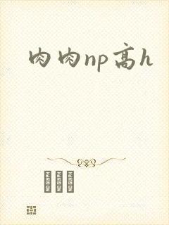 肉肉np高h
