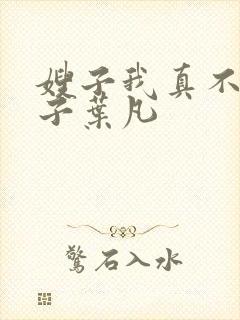 嫂子我真不是傻子叶凡