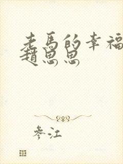 老马的幸福生活赵思思