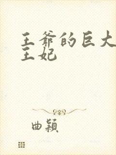 王爷的巨大进入王妃