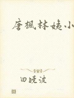 唐枫林姨小说