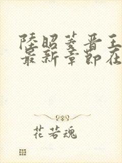陆昭菱晋王小说最新章节在线阅读