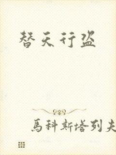 替天行盗
