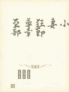 至尊狂妻小说全部章节