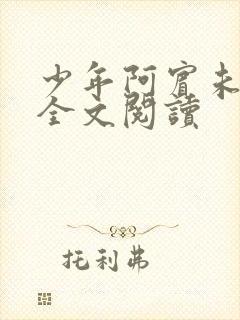 少年阿宾未删减全文阅读封面
