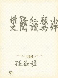 权路红颜小说全文阅读无弹窗