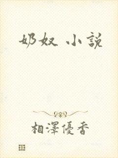 奶奴 小说