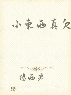 小东西真欠弄