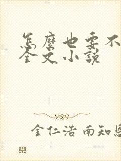 怎么也要不够她全文小说封面