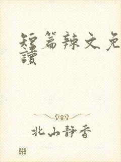 短篇辣文免费阅读