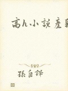高h小说产乳封面