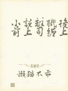 小说离职后我被前上司缠上了在线阅读