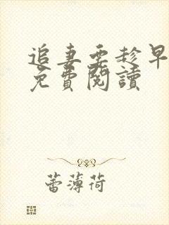追妻要趁早全文免费阅读