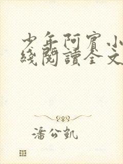 少年阿宾小说在线阅读全文免费
