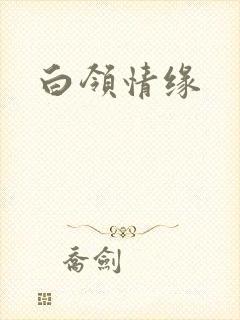 白领情缘