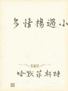 多情杨过小说