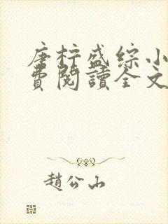 唐柠盛综小说免费阅读全文最新章节封面