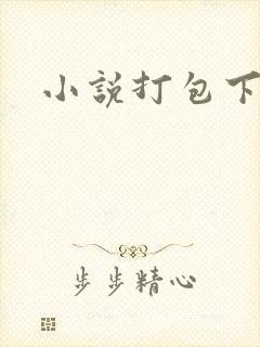 小说打包下载