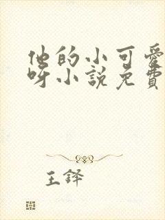 他的小可爱超甜呀小说免费阅读