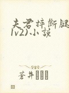 夫君摔断腿后(1v2)小说
