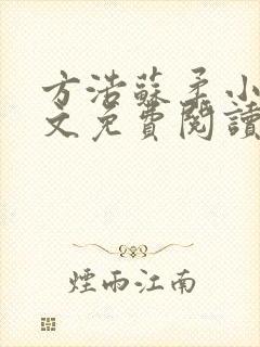 方浩苏柔小说全文免费阅读最新章节封面