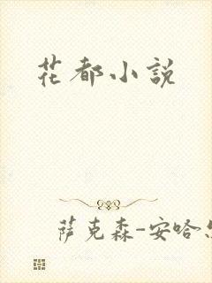 花都小说封面