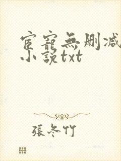 宦宠无删减原著小说txt
