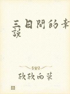 三日间的幸福小说