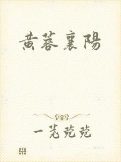 黄蓉襄阳