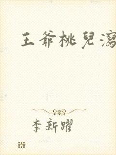 王爷桃儿泻了封面
