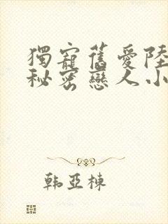 独宠旧爱陆少的秘密恋人小说全文免费阅读