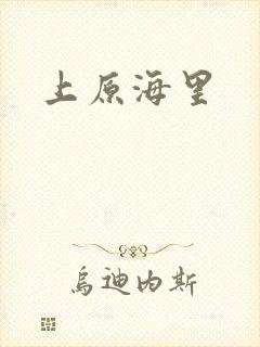上原海里封面