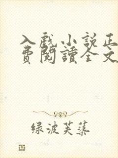 入戏小说正版免费阅读全文无弹窗