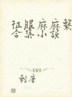 征服麻麻系列大合集小说