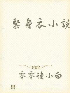 紧身衣小说