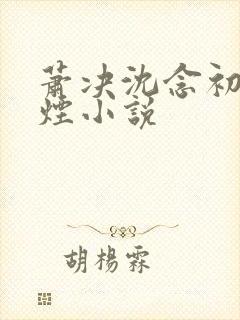萧决沈念初柳如烟小说
