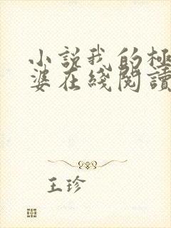 小说我的极品老婆在线阅读全文