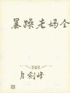 暴躁老妈全集封面