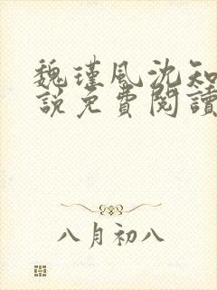 魏瑾风沈知玉小说免费阅读最新章节封面