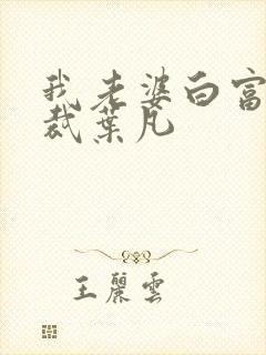 我老婆白富美总裁叶凡封面