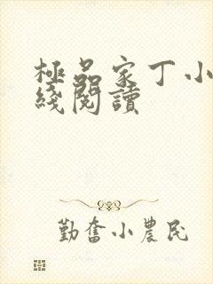 极品家丁小说在线阅读
