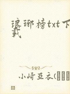 琅琊榜txt下载