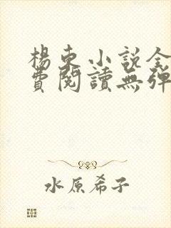 杨东小说全文免费阅读无弹窗封面