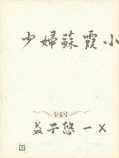 少妇苏霞小说