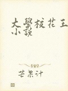大学校花王筱惠小说