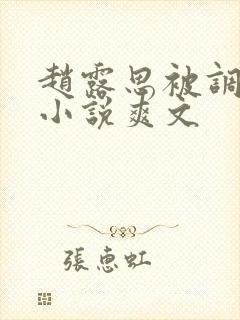 赵露思被调教h小说爽文