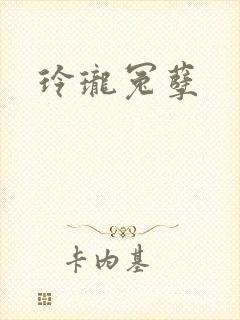 玲珑冤孽