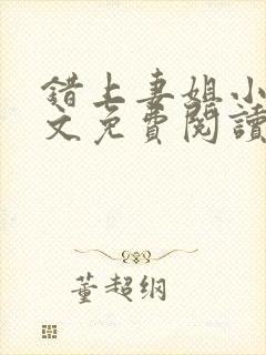 错上妻姐小说全文免费阅读封面