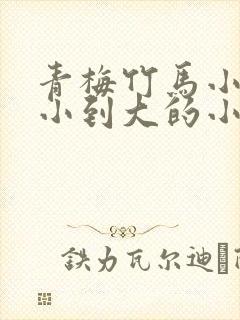 青梅竹马小说从小到大的小说封面