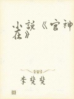 小说《官神何常在》